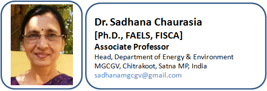 Prof. P. S. Aithal